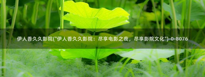 91伊人久久影院